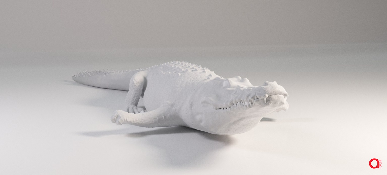 3D  модель аллигатора